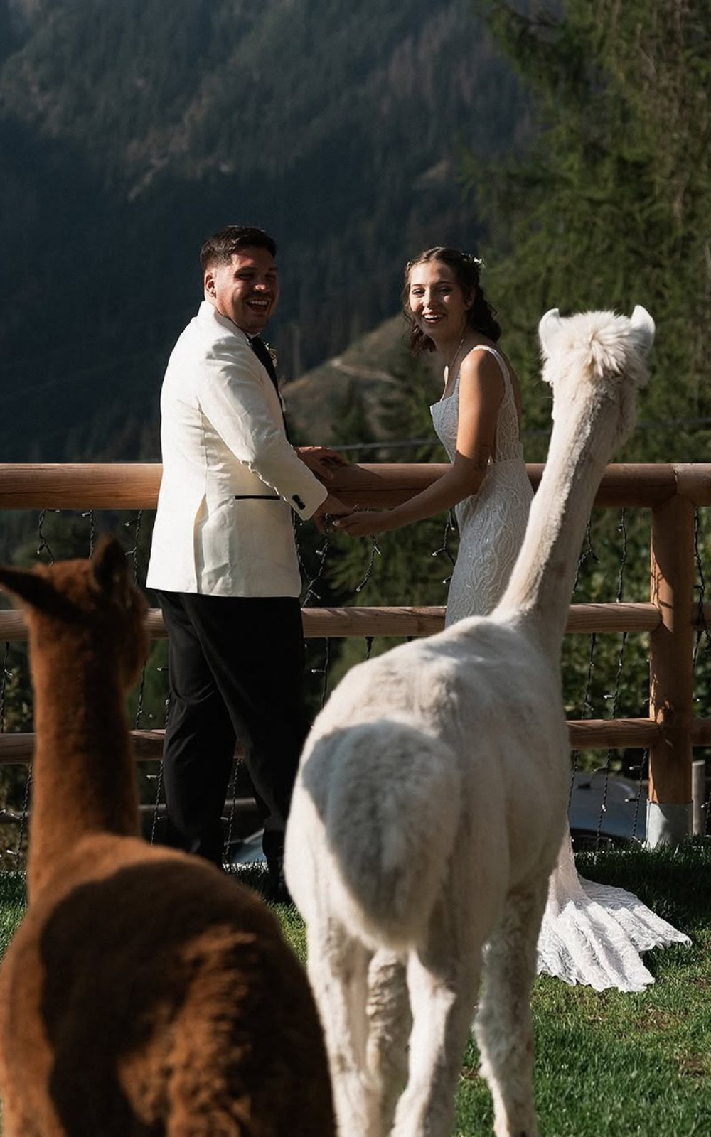 21 Funny Wedding Pictures That Will Make You Laugh