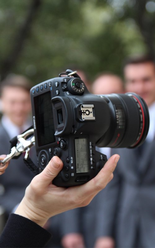 Average Wedding Photographer Cost: 2025 Study and Guide