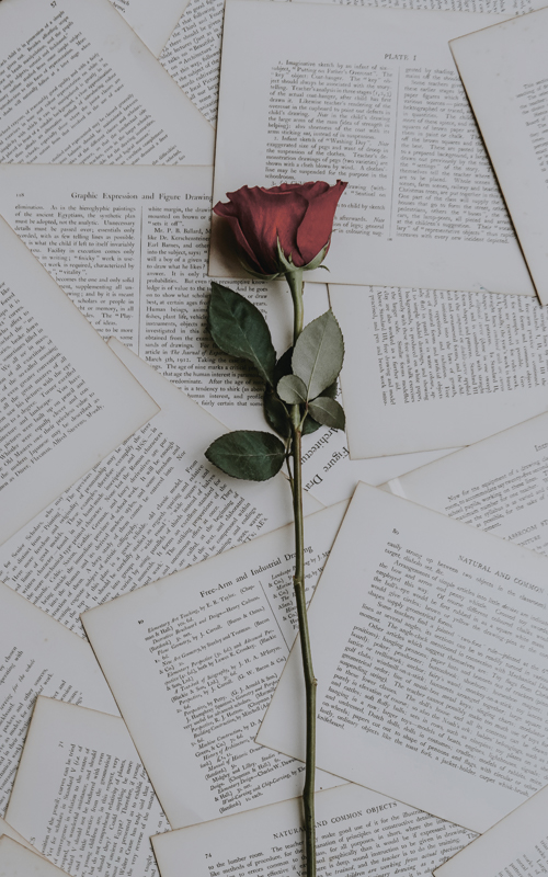 43 Romantic Quotes For Your Inspiration In 2024