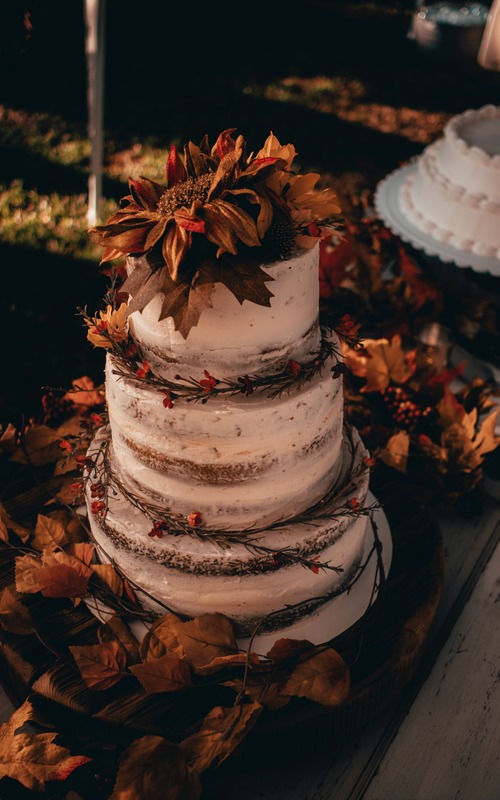 Top Ideas For Rust Wedding Cakes + FAQs