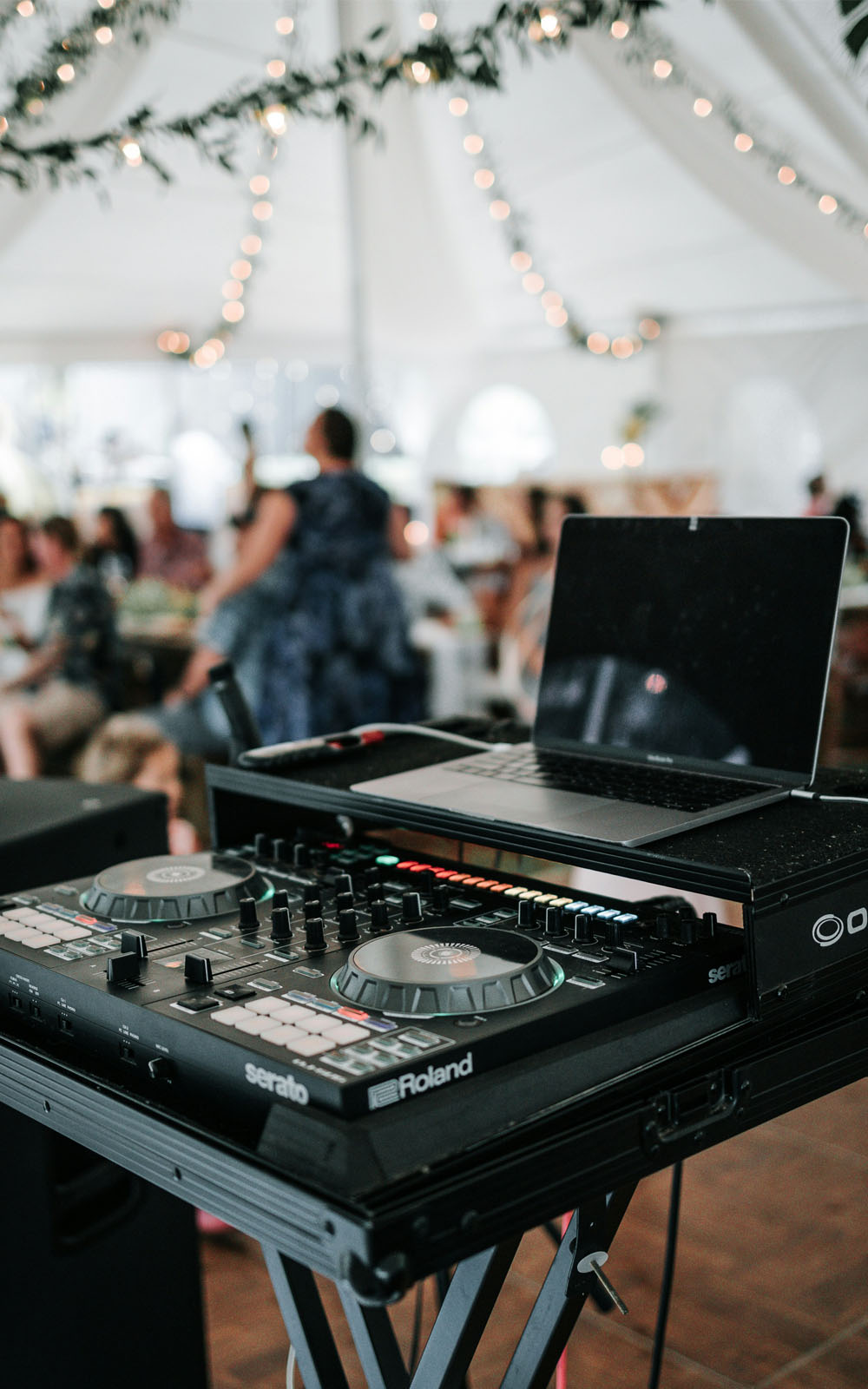 The Ultimate Guide to Hiring a Wedding DJ + Expert Tips & Advice